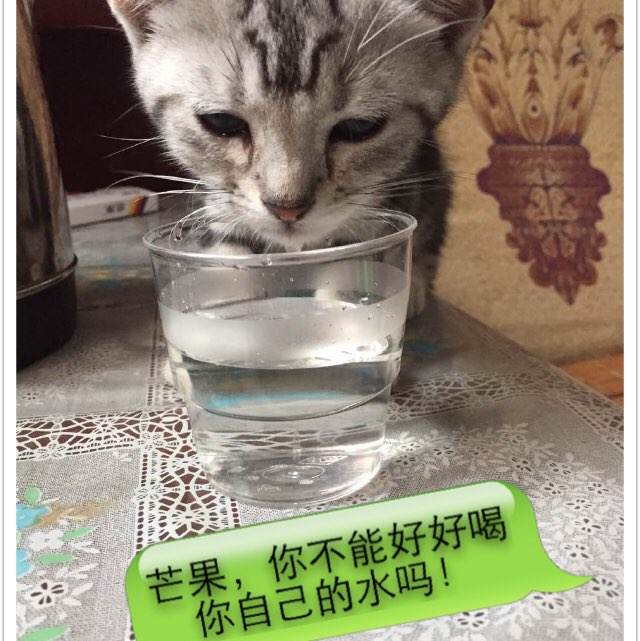 购买假基德明斯特学院学位证